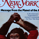 Imagen: Portada del New York Magazine